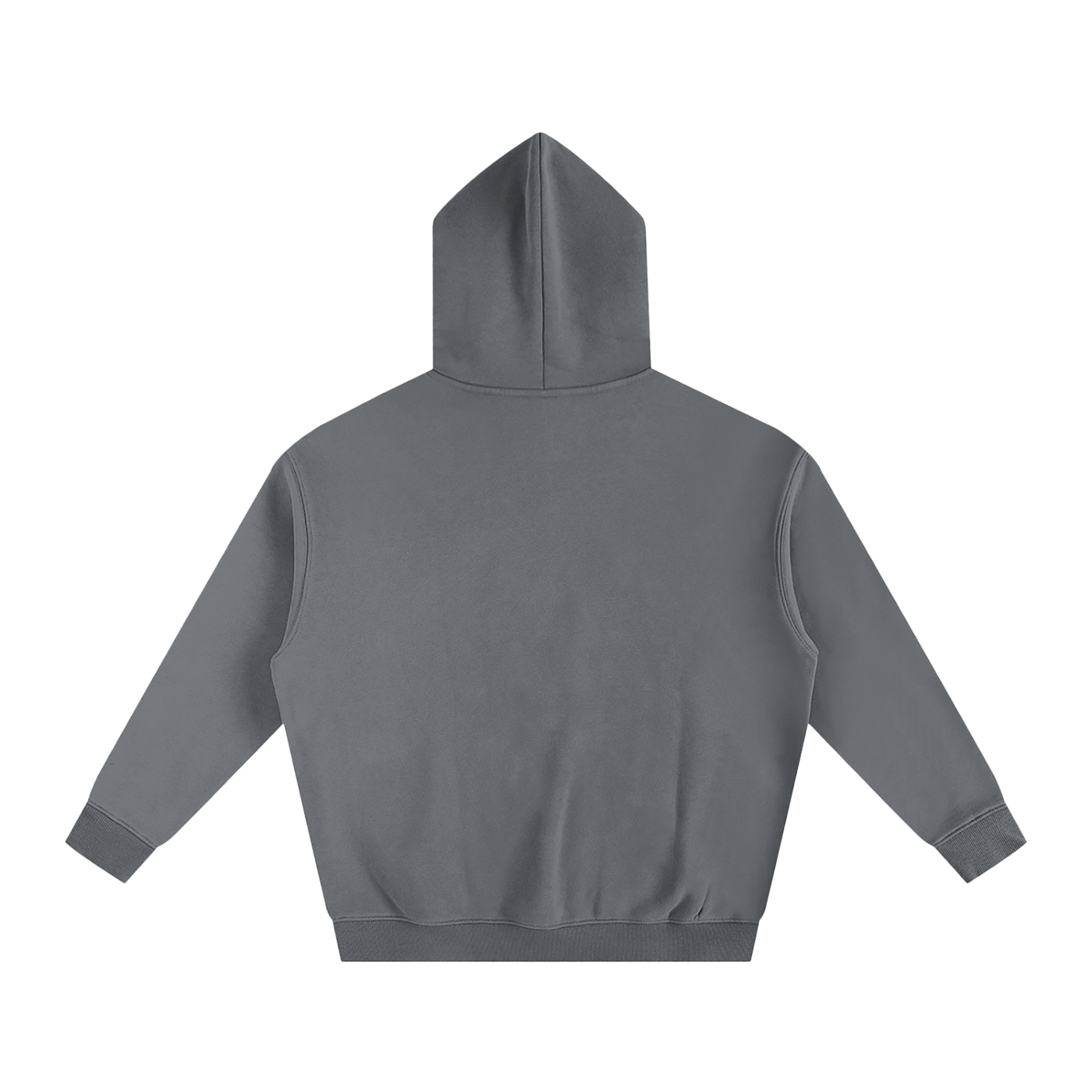 R3G10N Oversized Fleece Hoodie