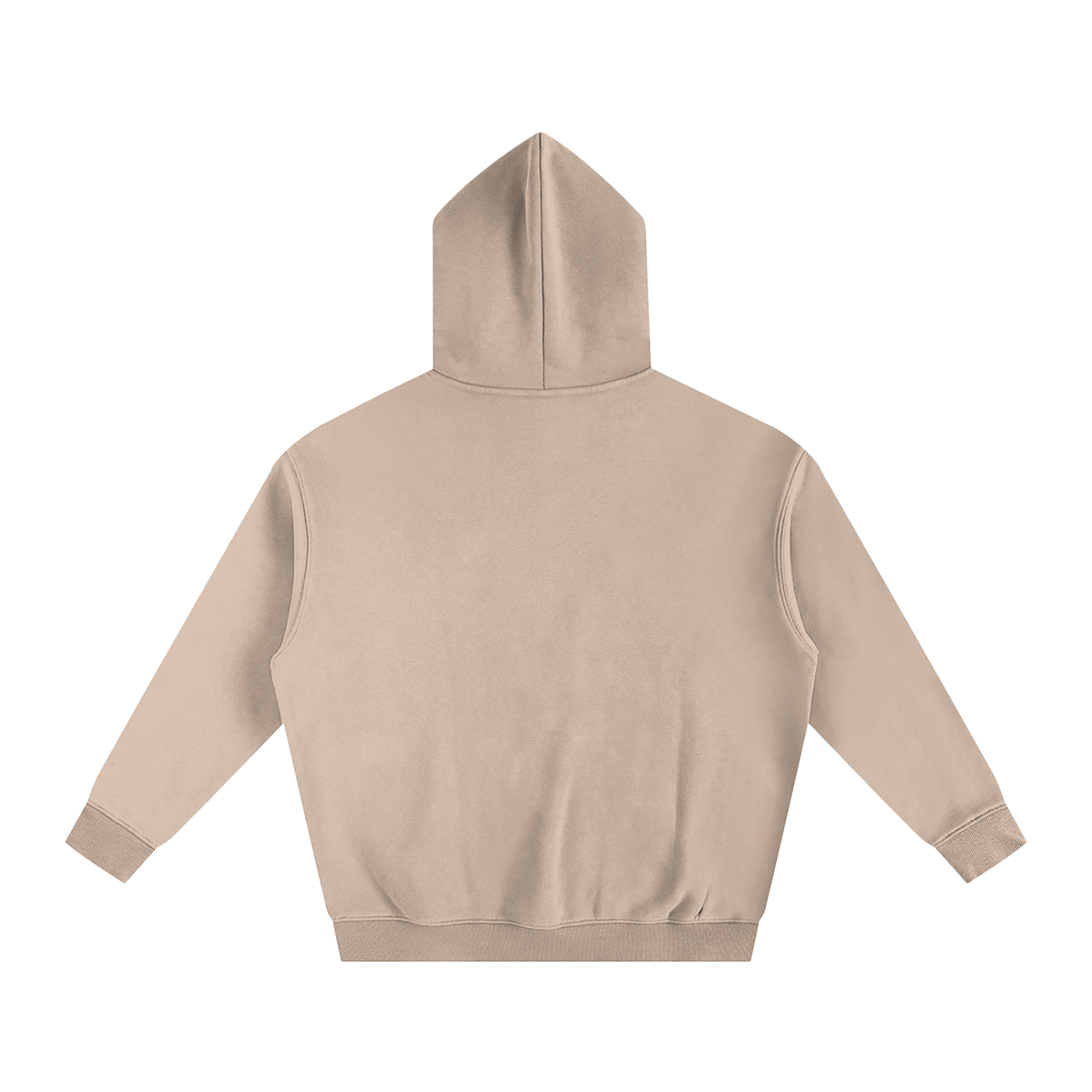 R3G10N Oversized Fleece Hoodie